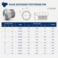 1002-_w Tupy - Plug Sextavado TupyForged Classe 3000 THR - Forjado Roscavel NPT
