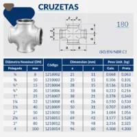 Tupy - Cruzeta BSP