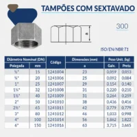Tupy - Tampão com Sextavado BSP