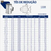 1245-_w Tupy - Tê de Redução BSP