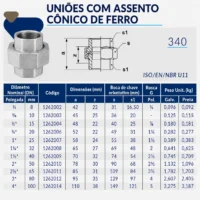 Tupy - União com Assento Cônico de Ferro BSP