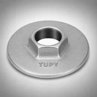 1299_w Tupy - Flange com Sextavado BSP