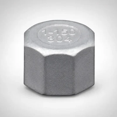 30441_w Tupy - Tampão Sextavado TupyInox 304 BSP