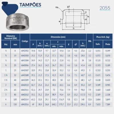 6842-_w Tupy - Tampão NPT-300