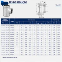 6945-_w Tupy - Tê de Redução NPT-150