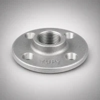 6999_w Tupy - Flange NPT-150