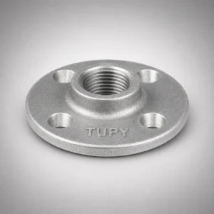 6999_w Tupy - Flange NPT-150